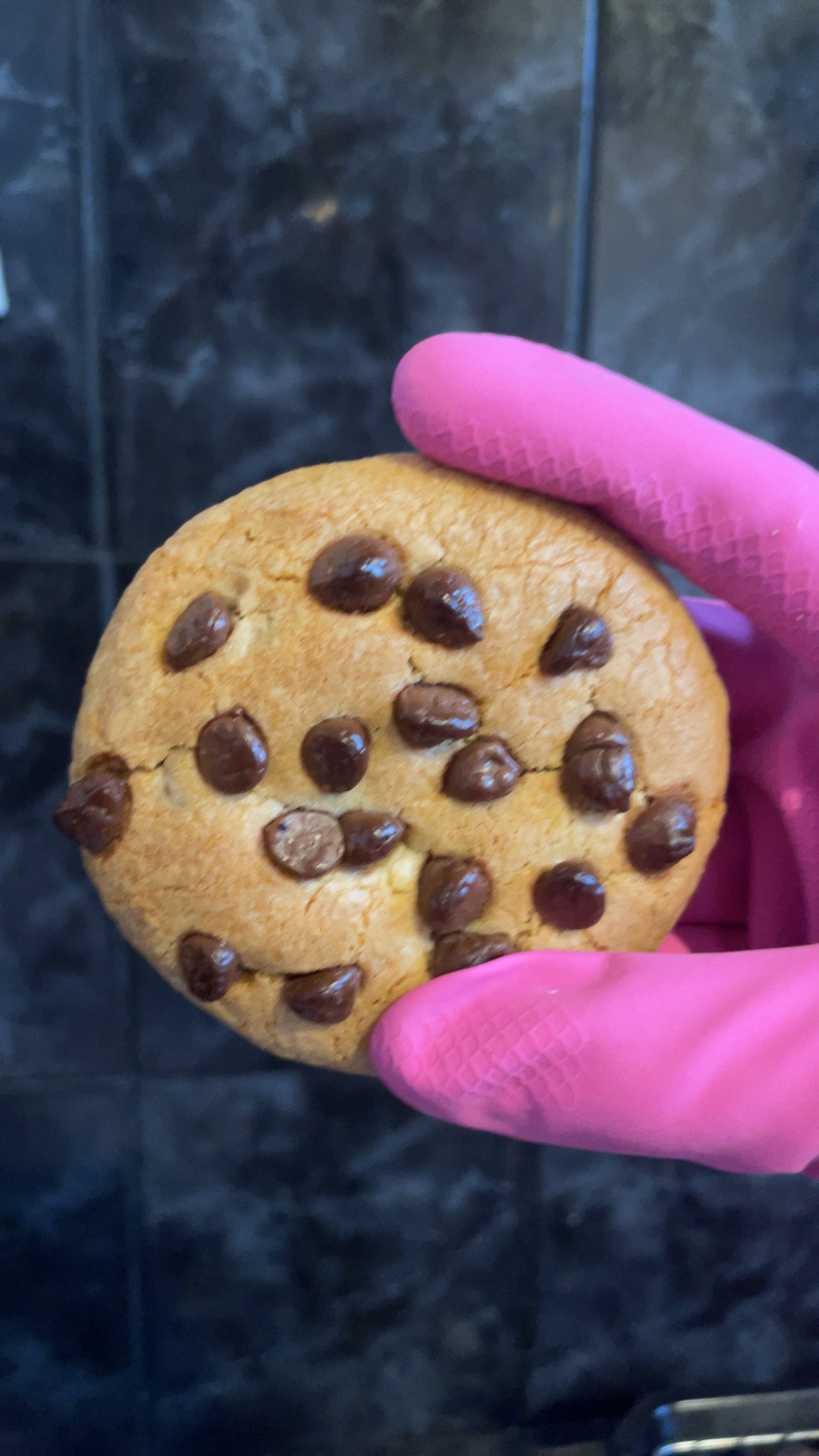 Chocolate chip cookie
