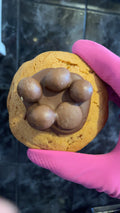 Revel cookie