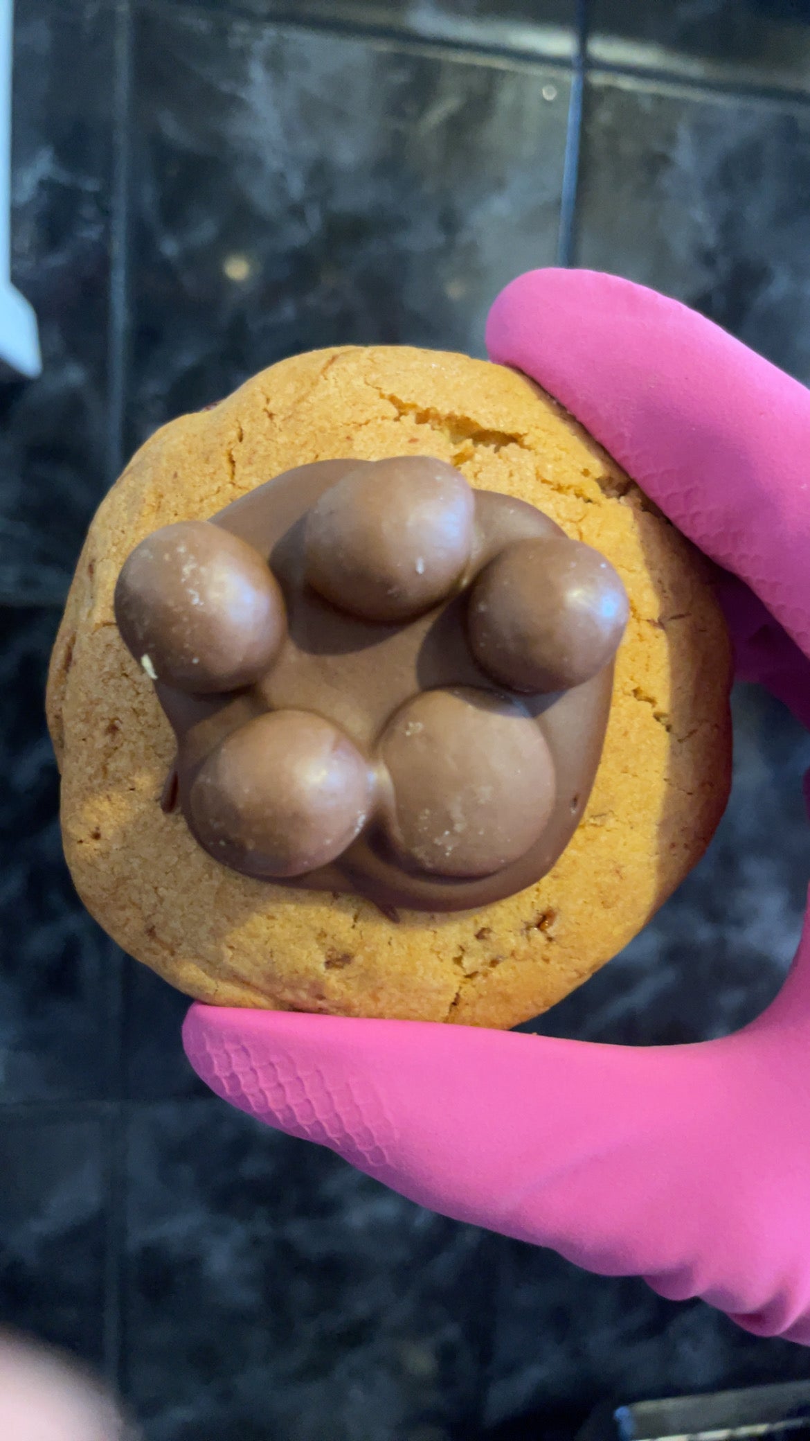 Revel cookie